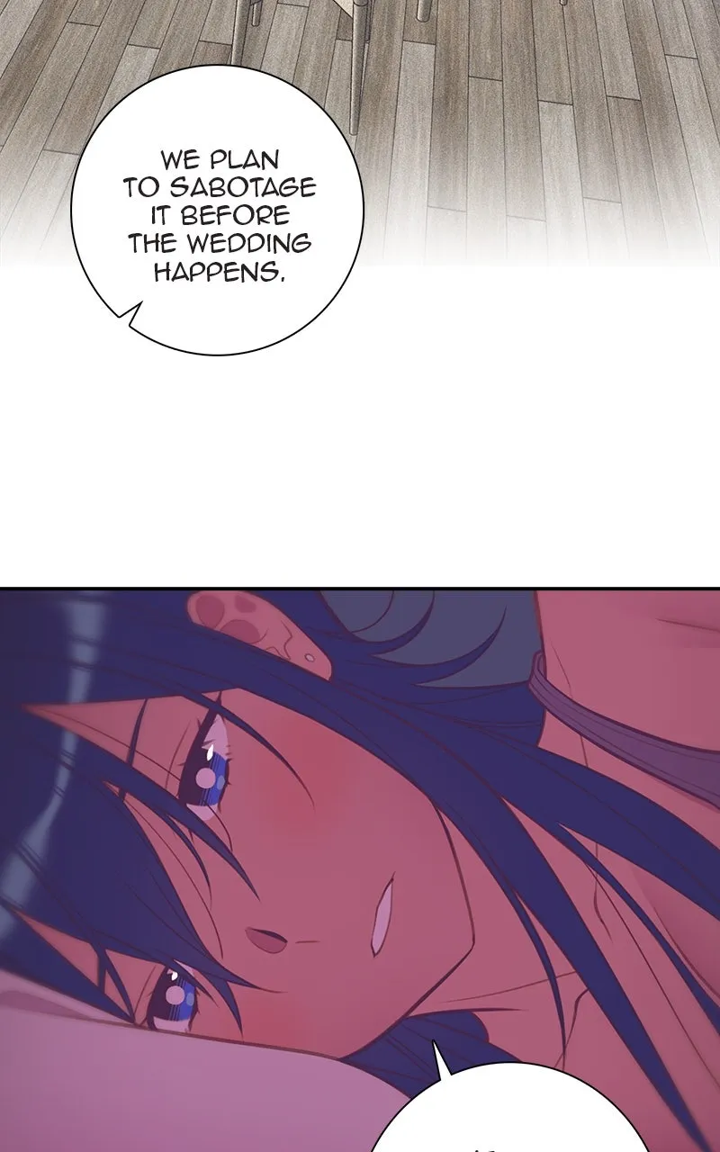 SHIRAI Chapter 24 page 46 - 