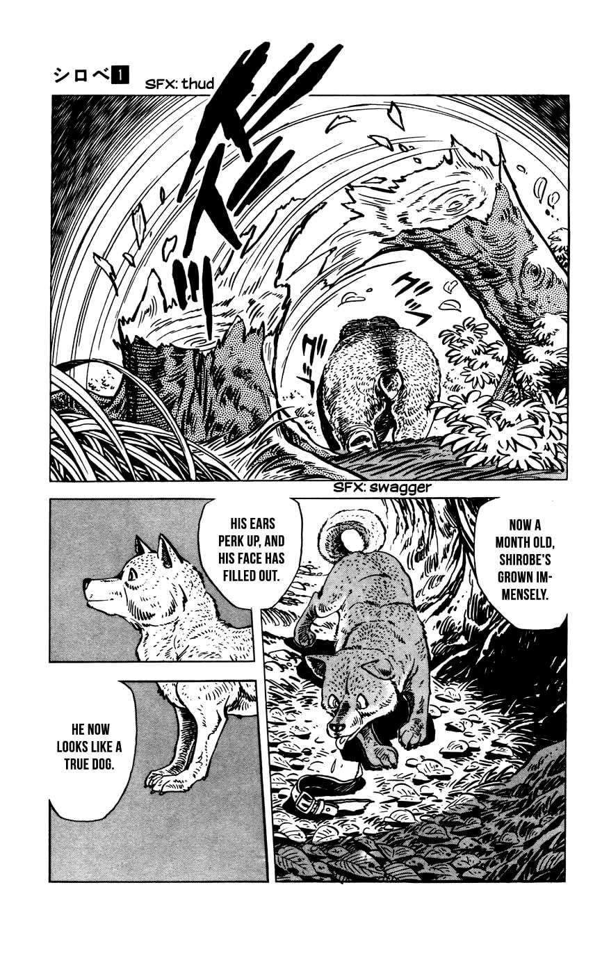 Shirobe Chapter 7 page 6 - 