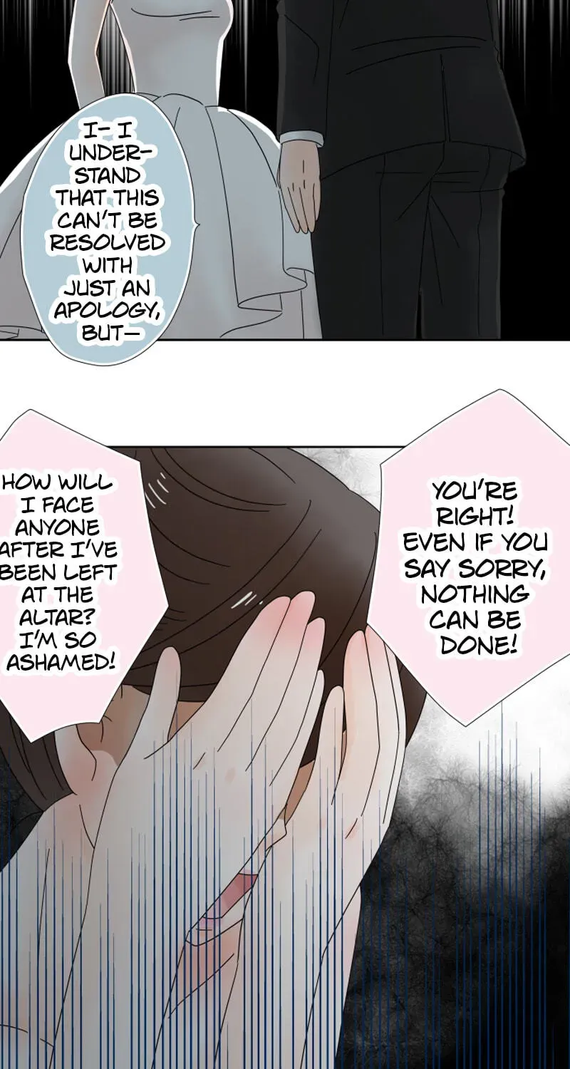 Shiroi Veil wa Itsuwari no Iro Chapter 2 page 17 - 