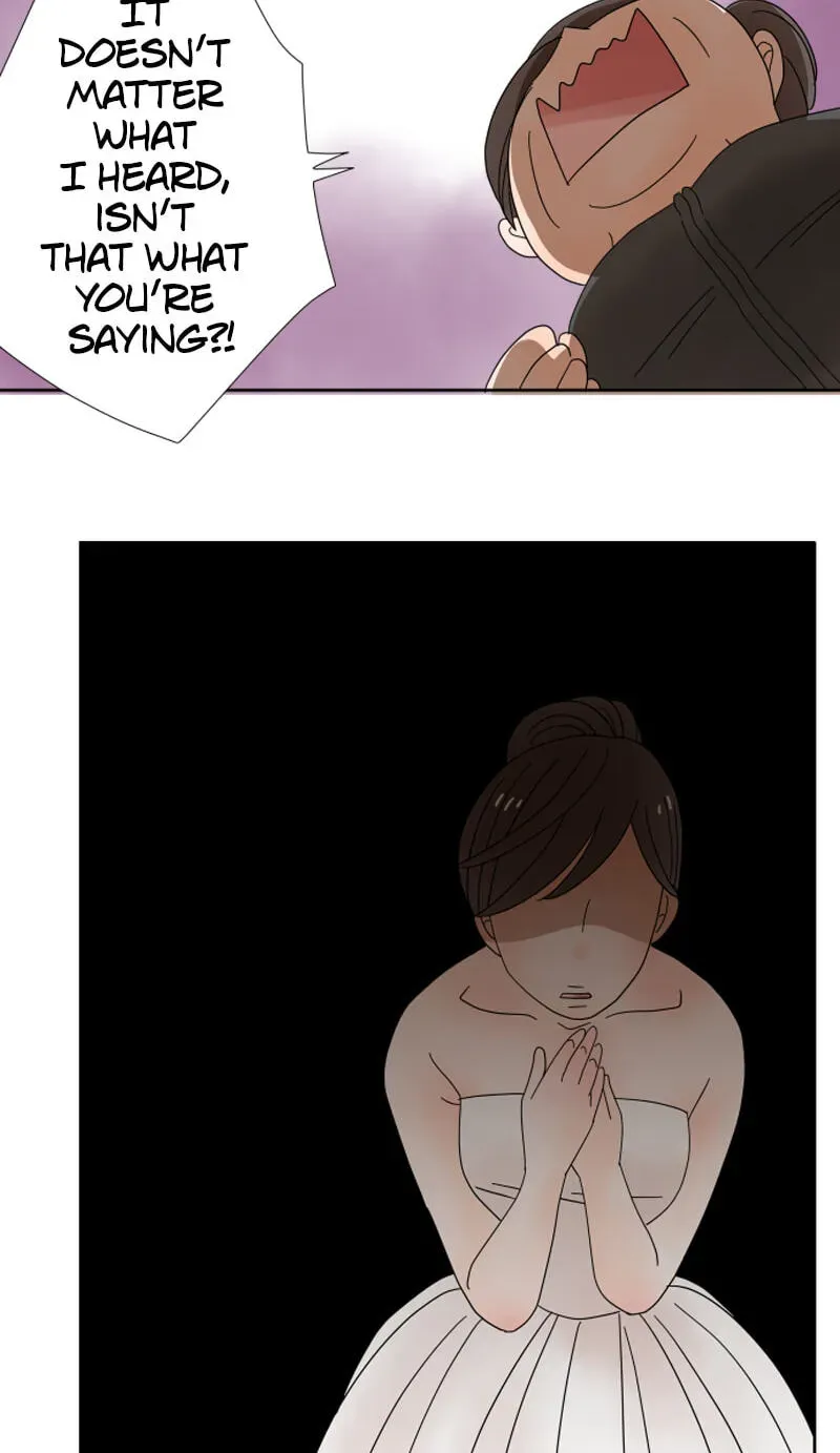 Shiroi Veil wa Itsuwari no Iro Chapter 2 page 28 - 