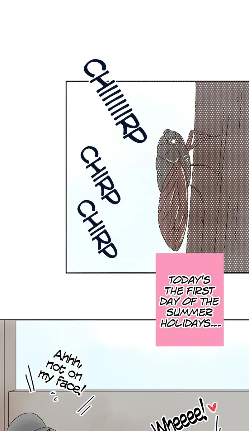 Shiroi Veil wa Itsuwari no Iro Chapter 34 page 1 - 