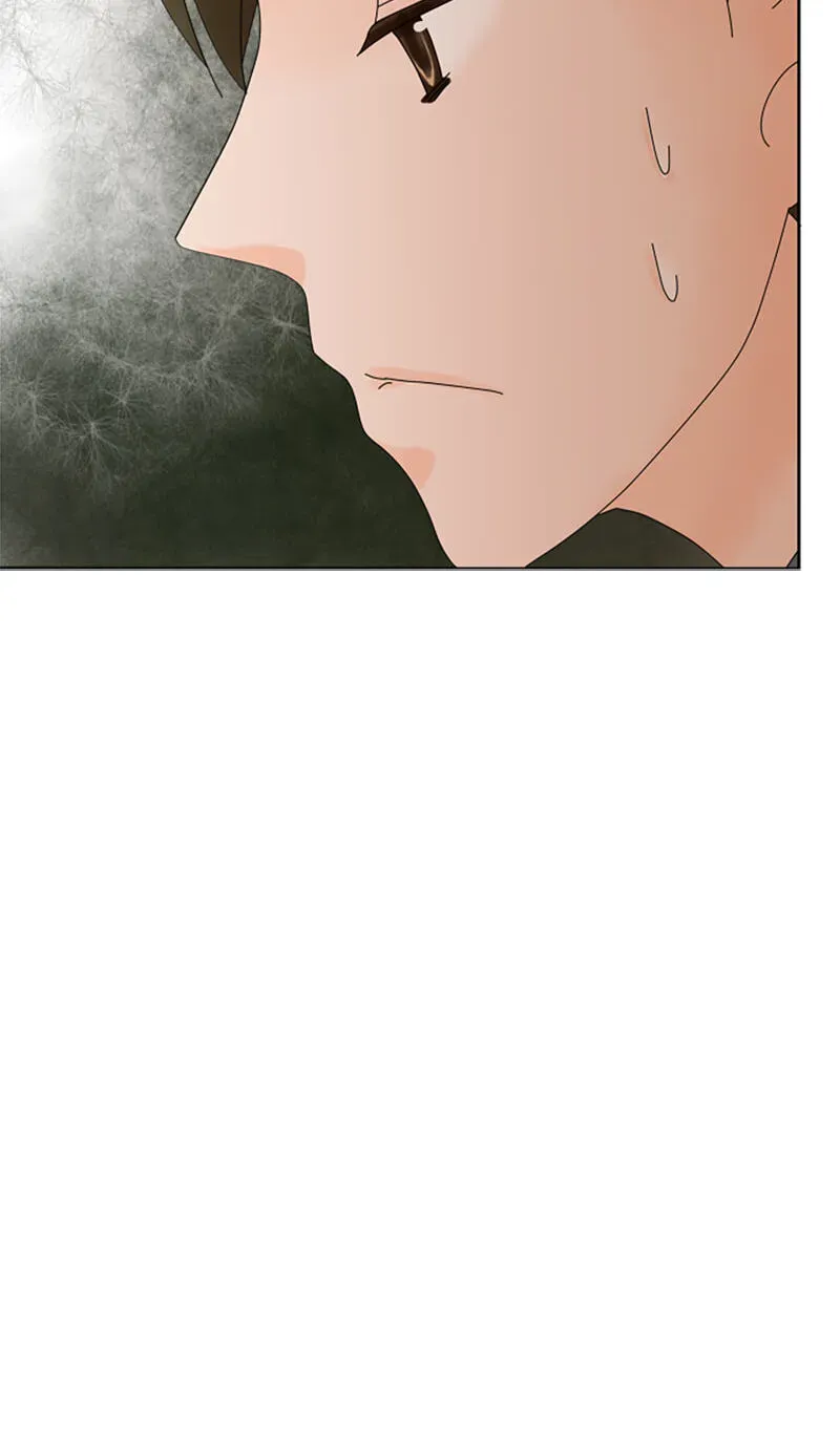 Shiroi Veil wa Itsuwari no Iro Chapter 35 page 5 - 