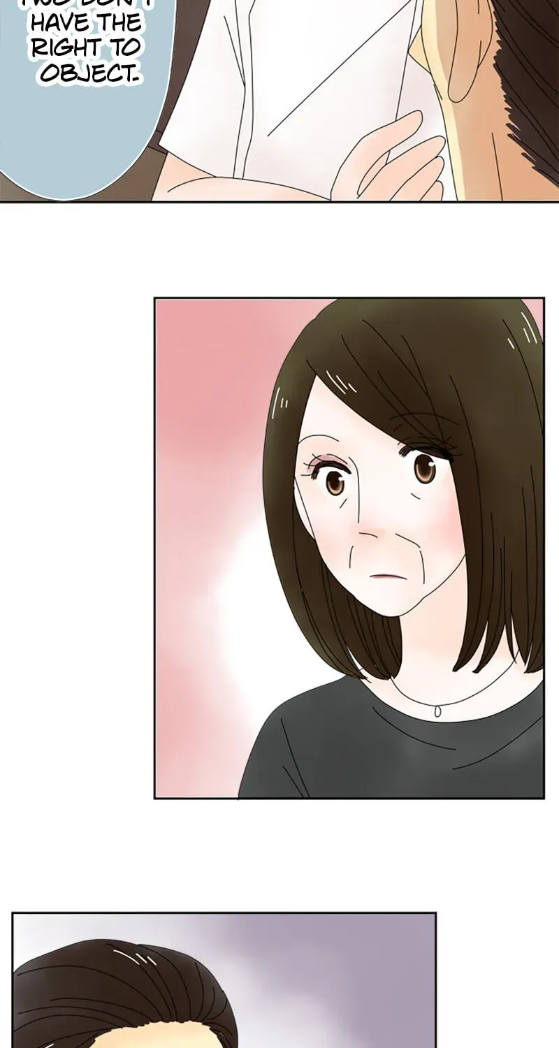 Shiroi Veil wa Itsuwari no Iro Chapter 45 page 15 - 