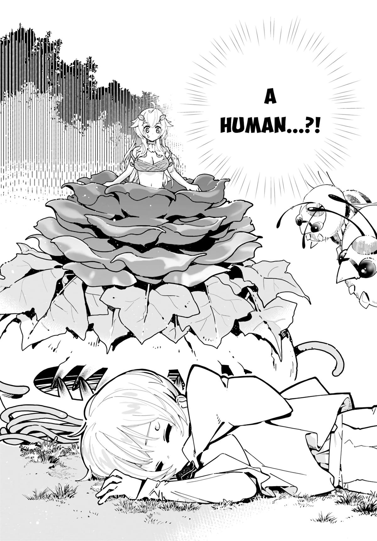 Shokubutsu Monster Musume Nikki Chapter 3 page 29 - 