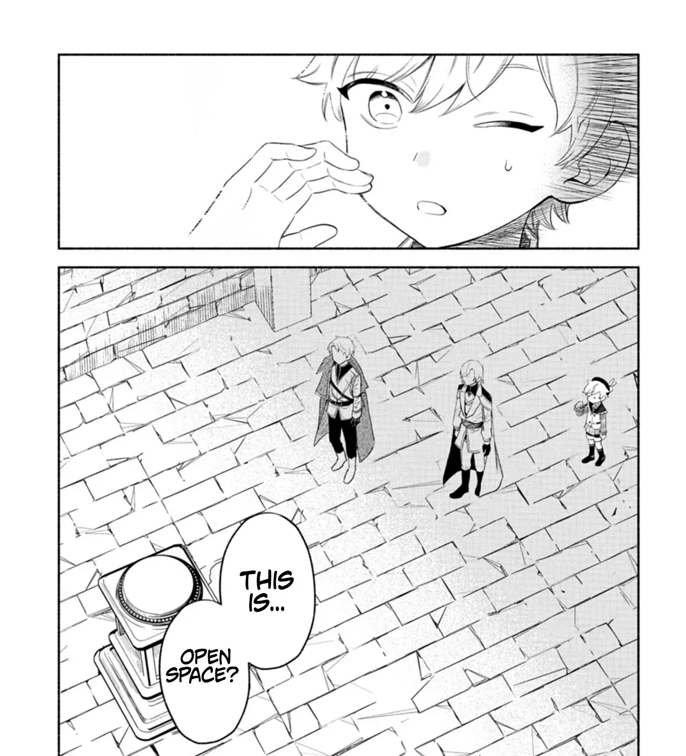 Shoukan Sukiru o Keishou shitanode, Kiwamete Miyou to Omoimasu! ~Mofumofu Mahou seibutsu to Isekai Life o Mankitsuchuu~ Chapter 5 page 46 - 