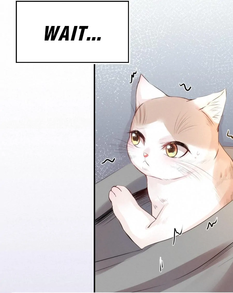 Shush! Hide Your Tail Chapter 17 page 16 - 