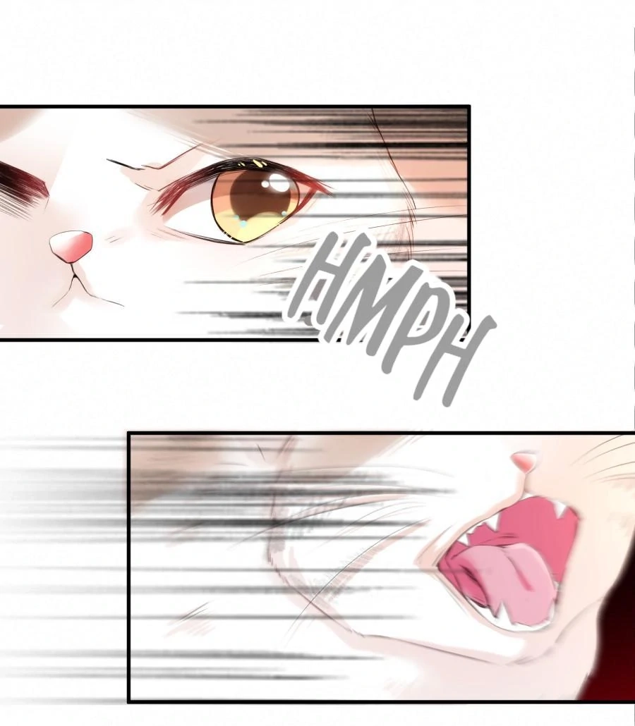 Shush! Hide Your Tail Chapter 17 page 3 - 