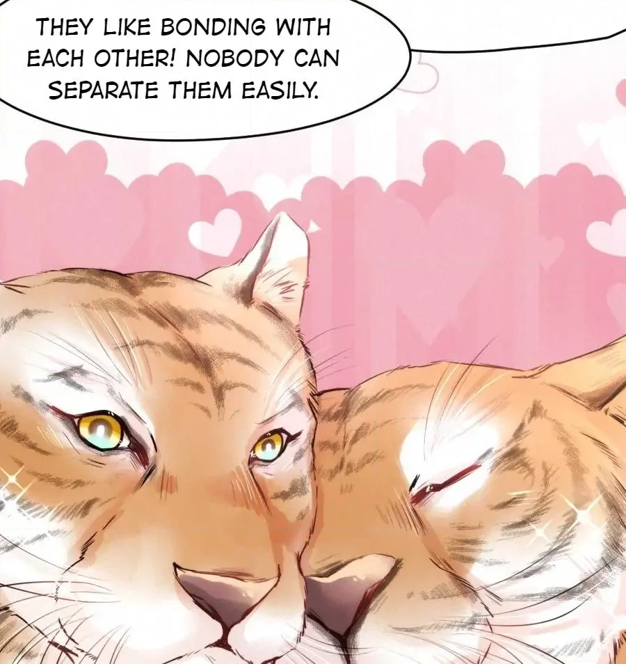 Shush! Hide Your Tail Chapter 22 page 8 - 