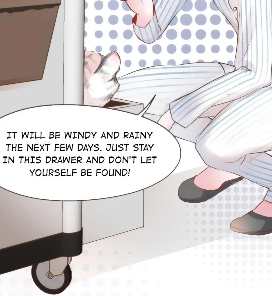 Shush! Hide Your Tail Chapter 25 page 5 - 