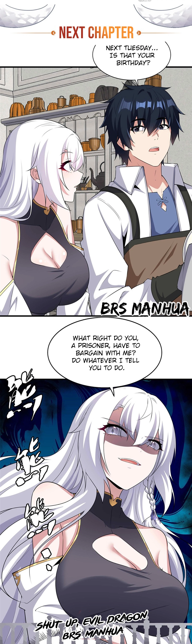Shut up, Evil Dragon, I don