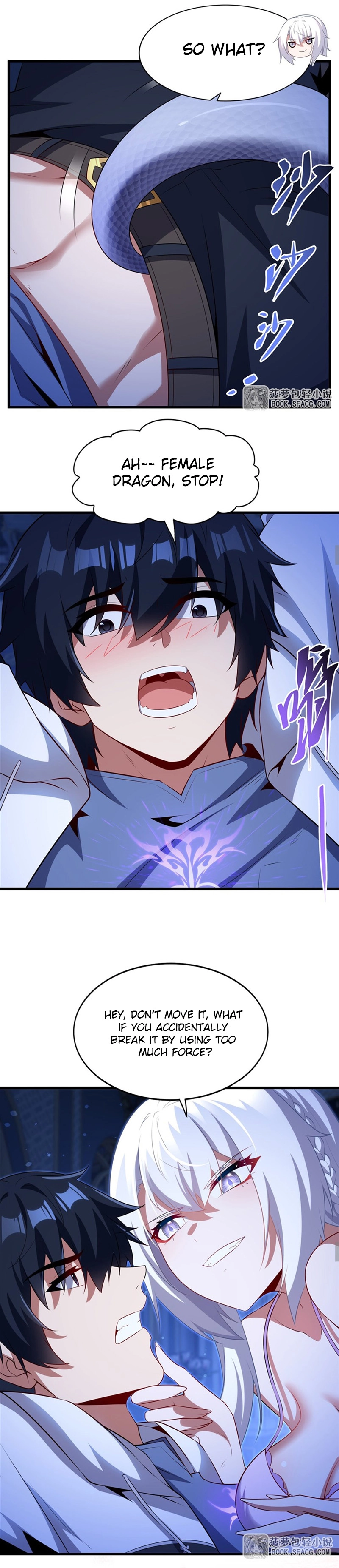 Shut up, Evil Dragon, I don