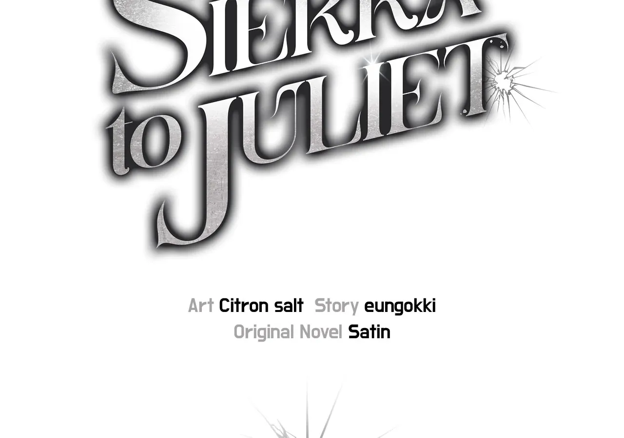 Sierra to Juliet Chapter 14 page 21 - 