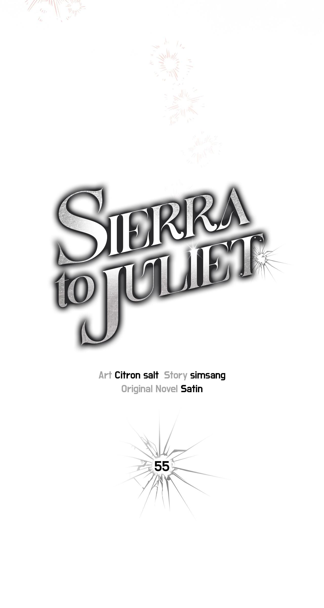 Sierra to Juliet Chapter 55 page 15 - 
