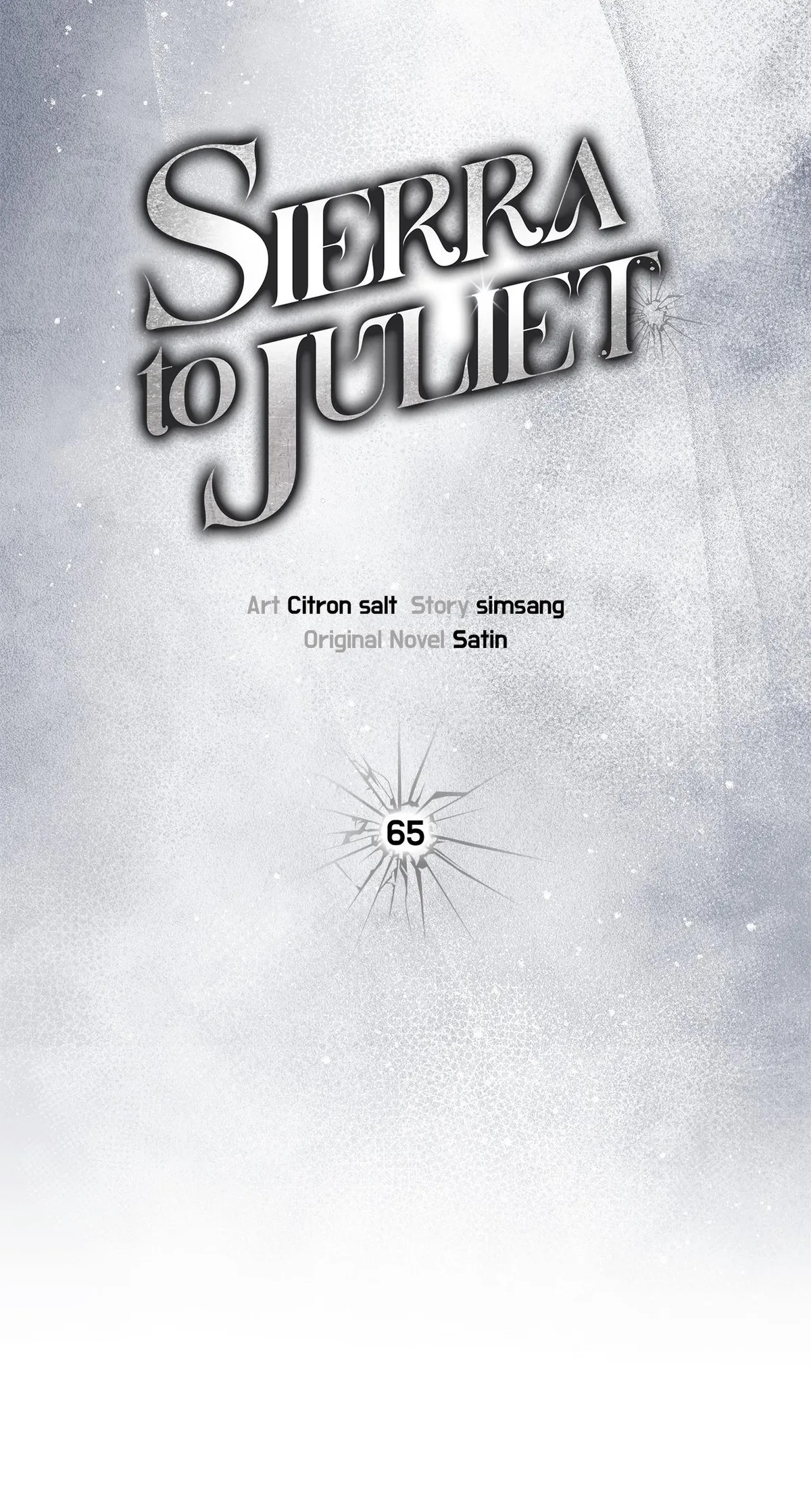 Sierra to Juliet Chapter 65 page 11 - 