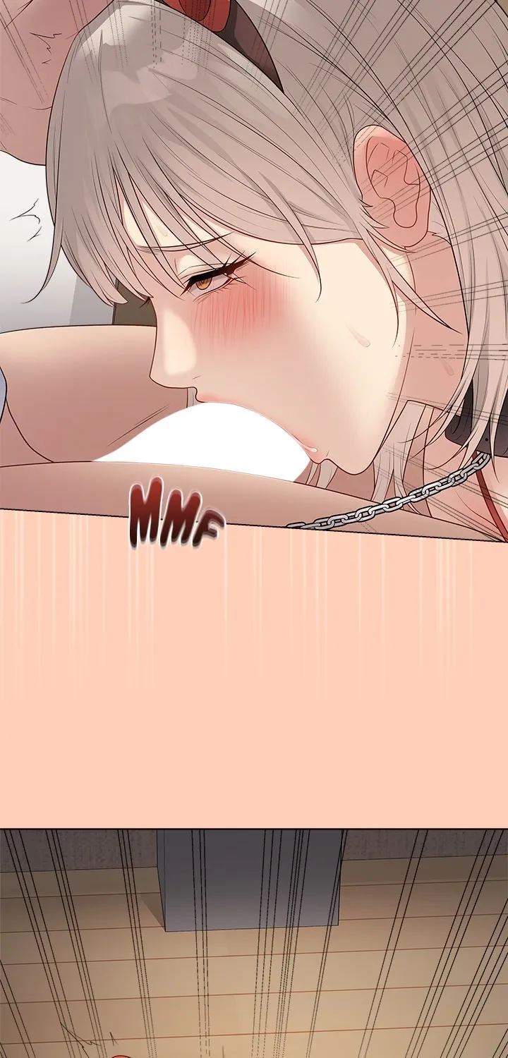 Signed, Sealed, Mistaken Chapter 51 page 101 - 