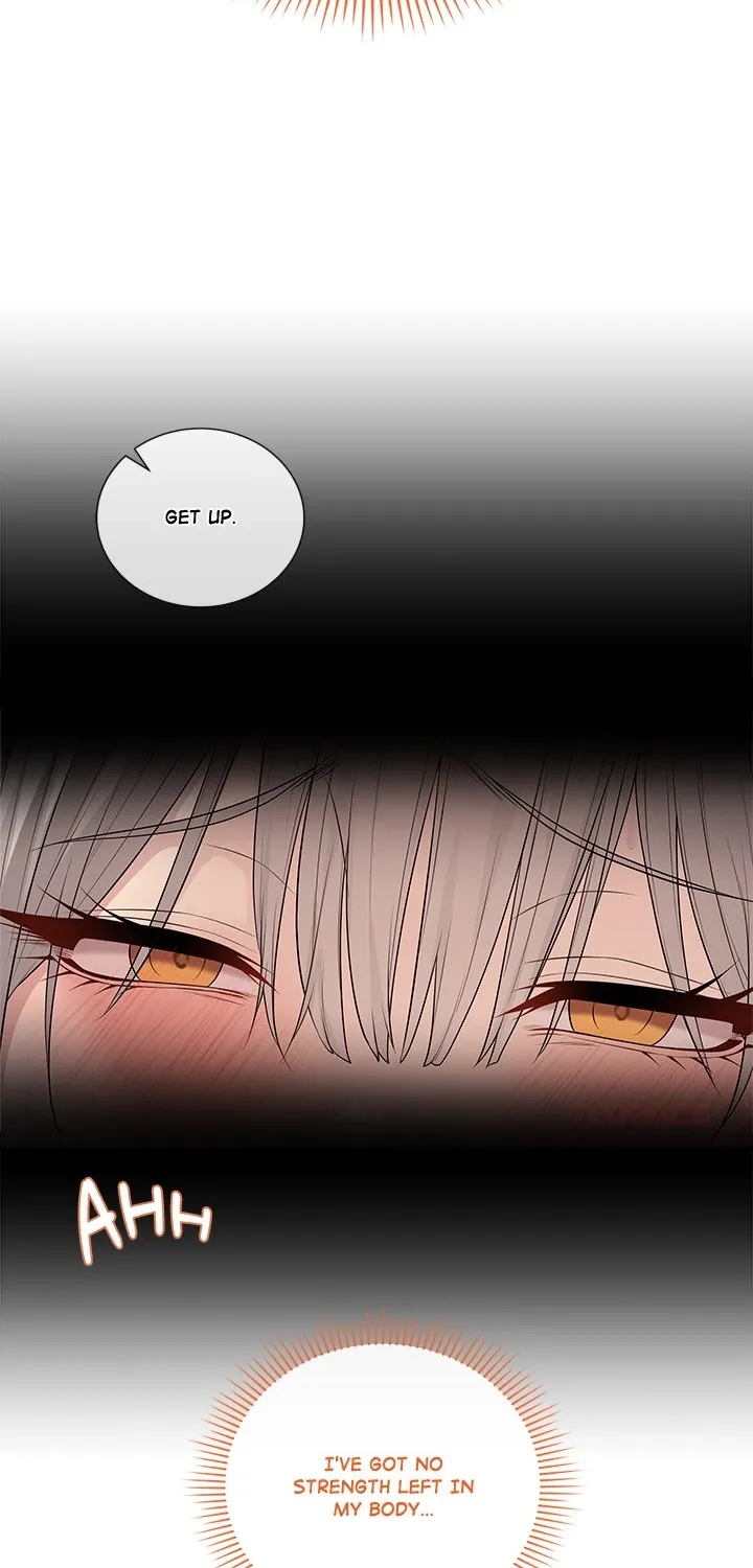 Signed, Sealed, Mistaken Chapter 53 page 85 - 