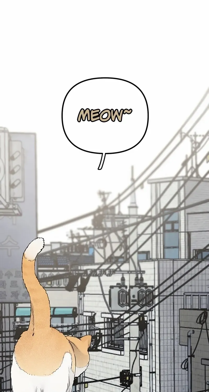 Silent Transfer Student Chapter 1 page 3 - 