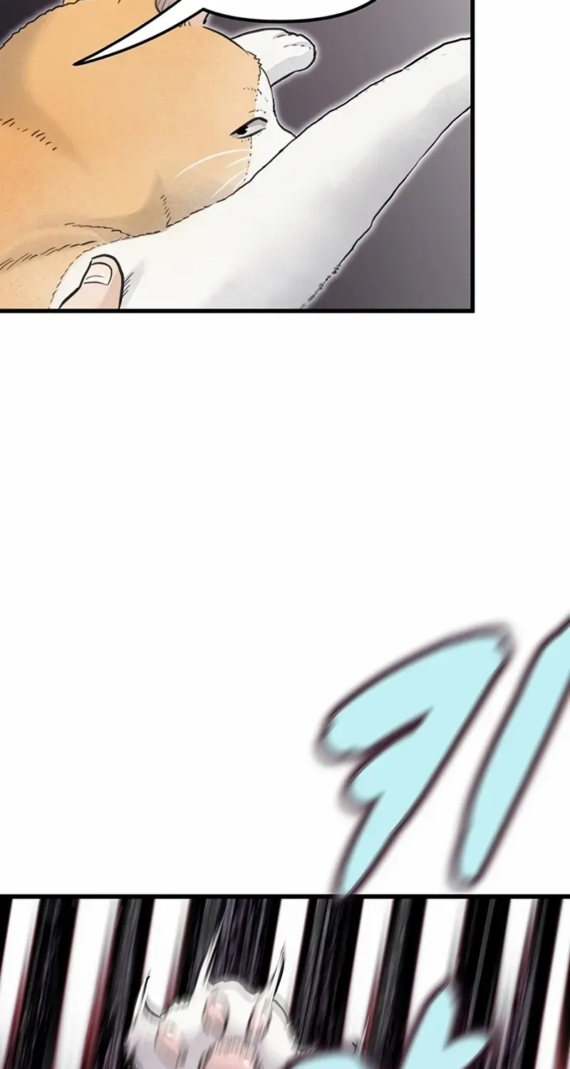 Silent Transfer Student Chapter 1 page 51 - 