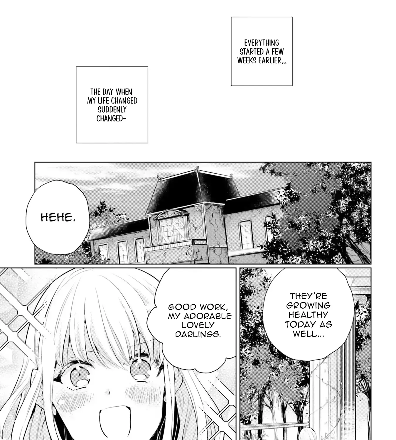 Since a Saintess Is Coming from Another World, I, the Hindrance, Will Disappear Chapter 1 page 11 - 