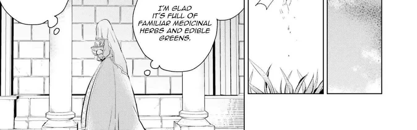 Since a Saintess Is Coming from Another World, I, the Hindrance, Will Disappear Chapter 6 page 45 - 
