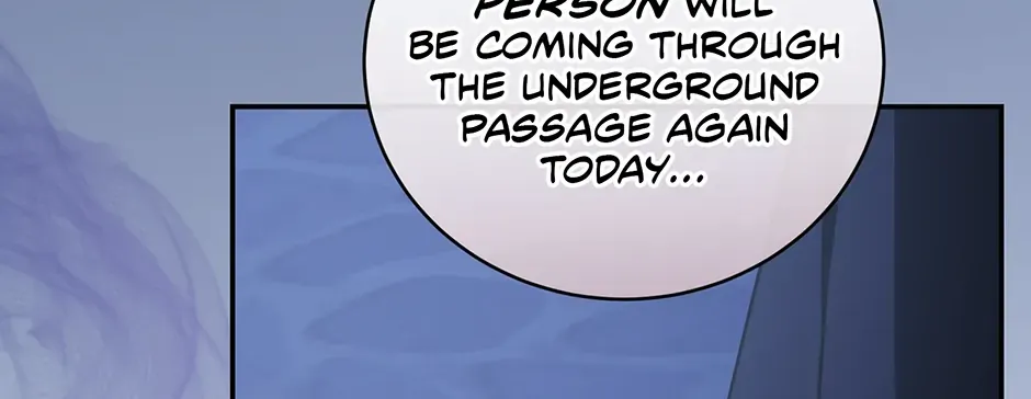 Since I Don’t Remember Anything About It, Shall We Break Up, Your Majesty? Chapter 41 page 84 - 