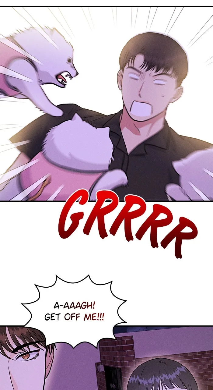 Singles’ Royale Chapter 16 page 14 - 