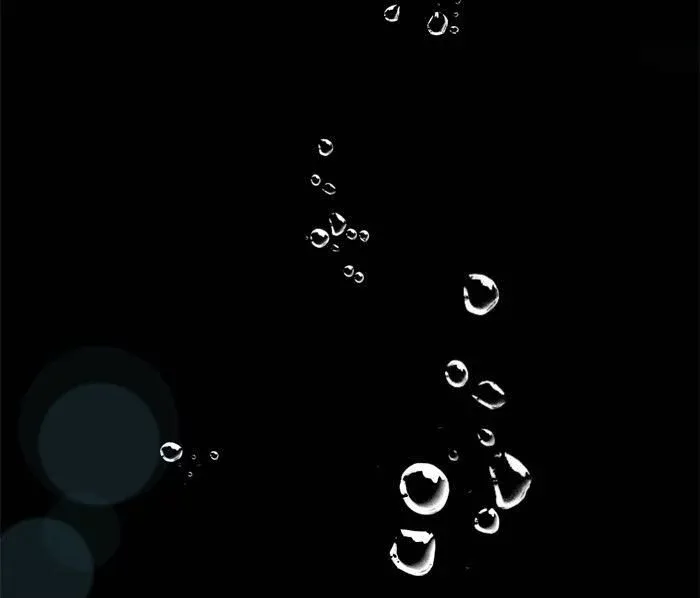 Siren