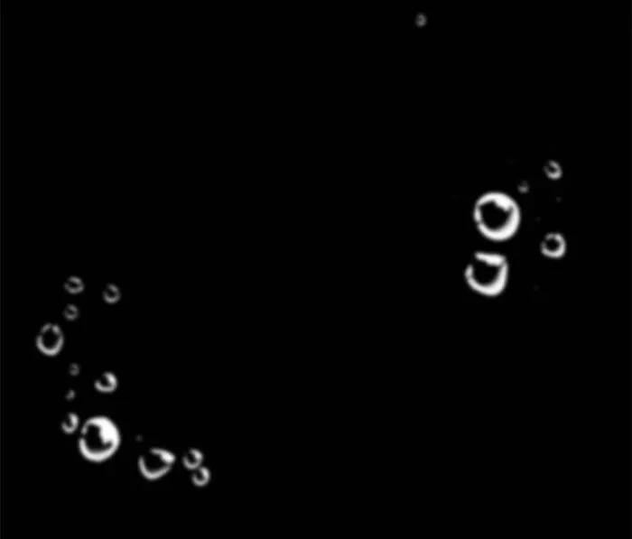 Siren