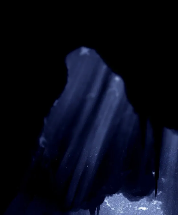 Siren