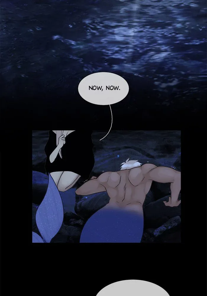 Siren