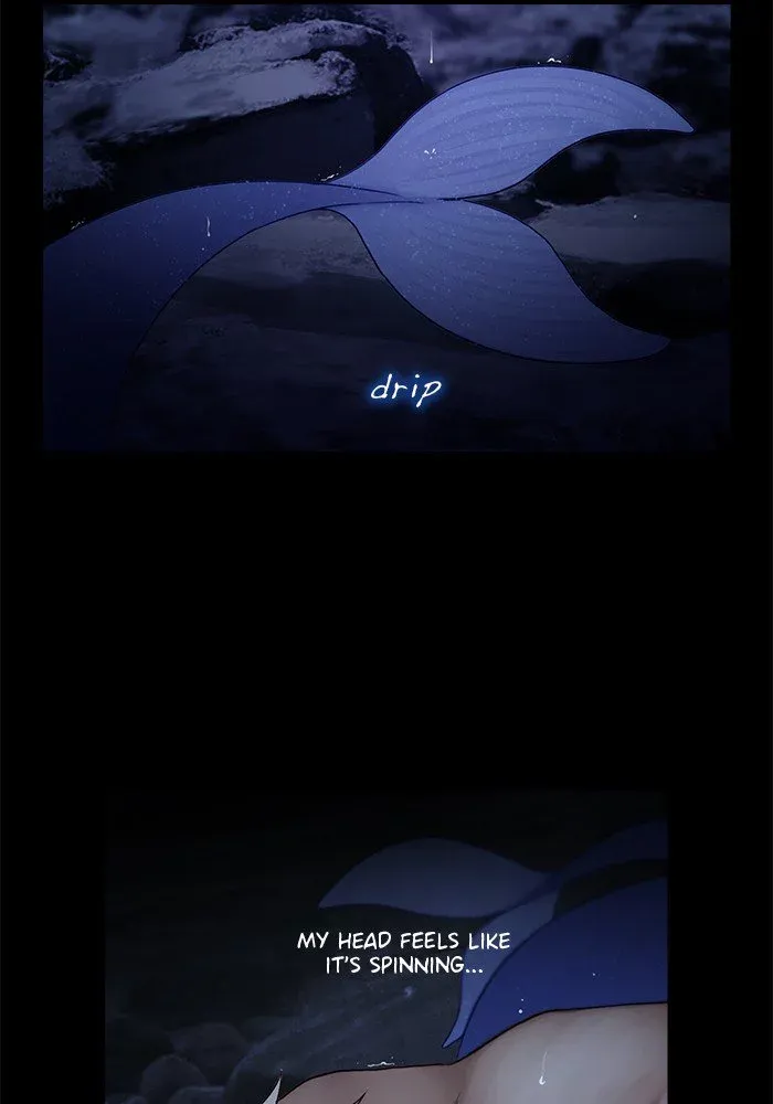 Siren
