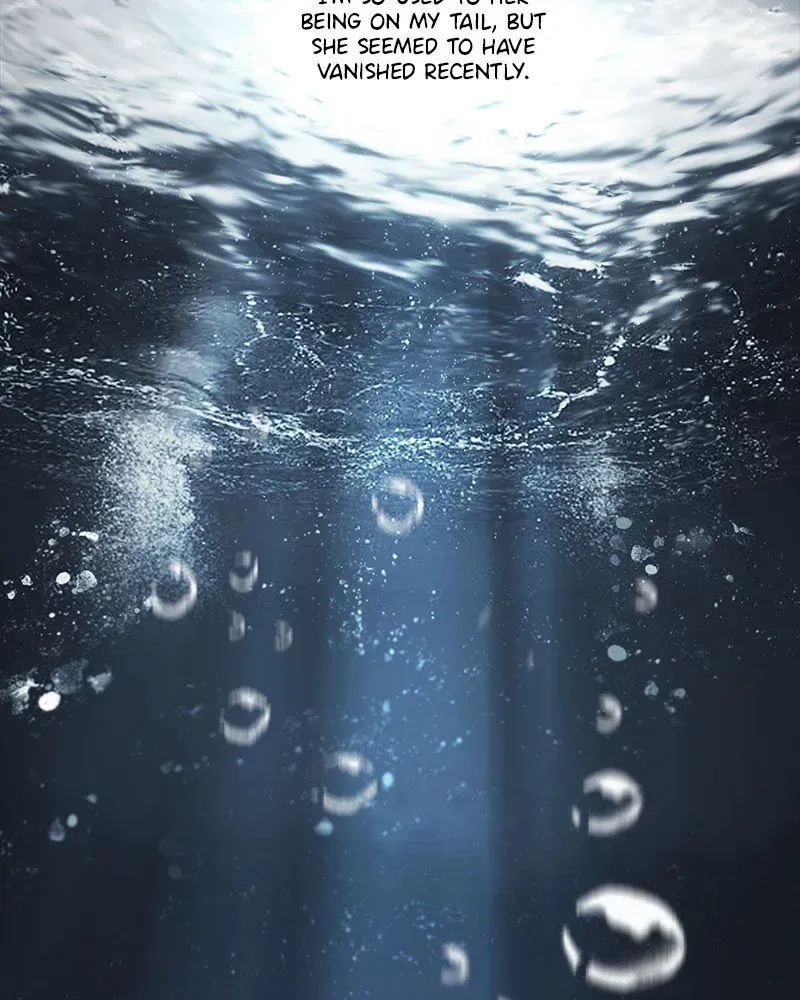 Siren