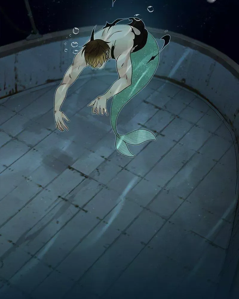 Siren