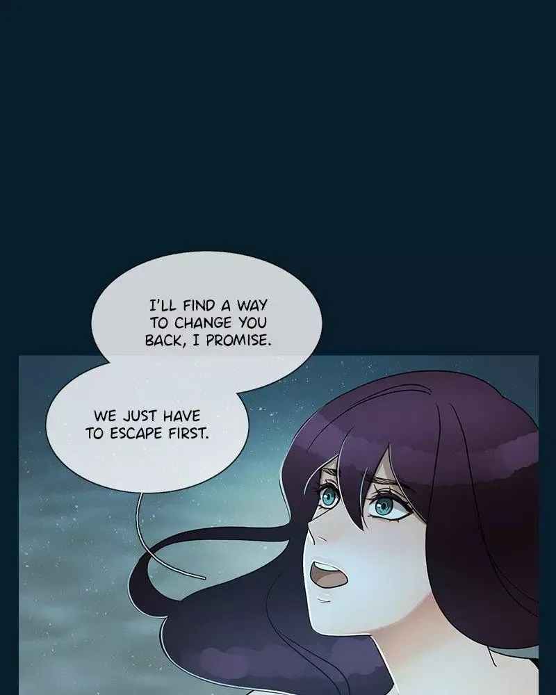 Siren