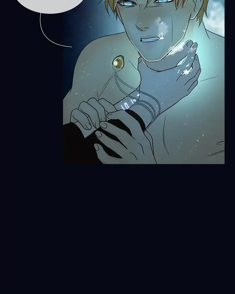 Siren