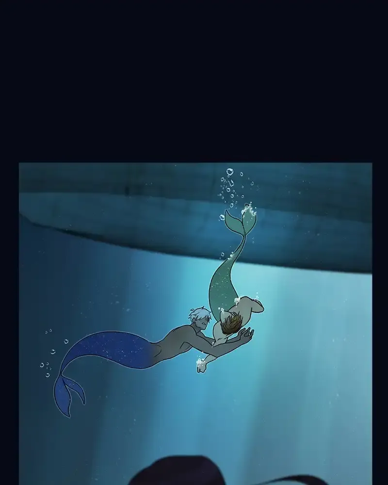 Siren