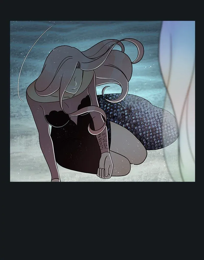 Siren