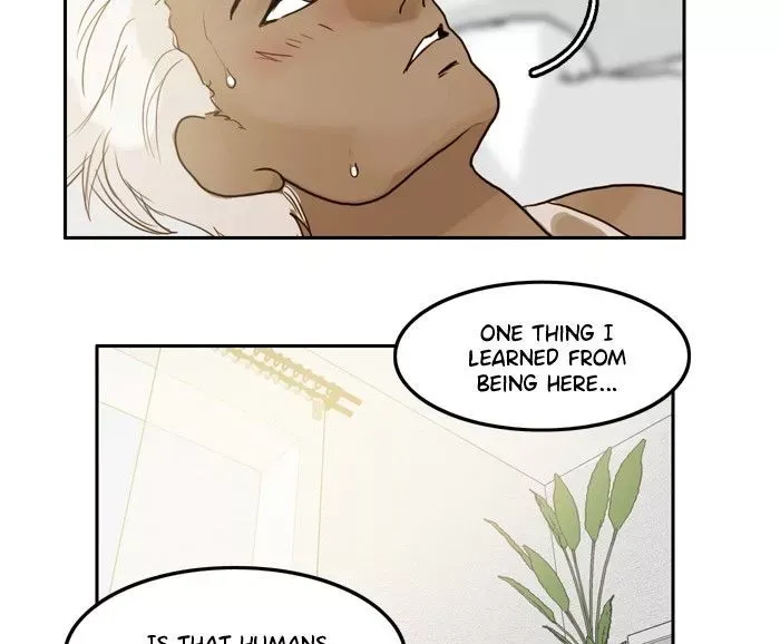 Siren