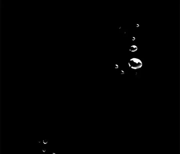 Siren
