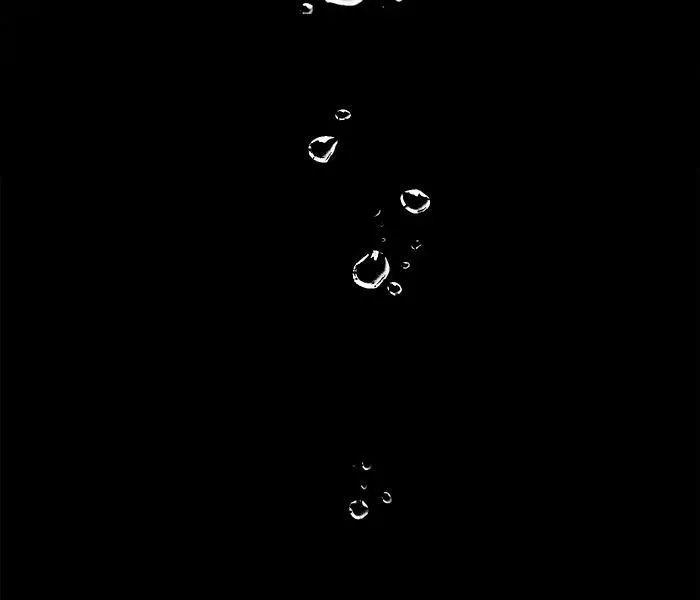 Siren