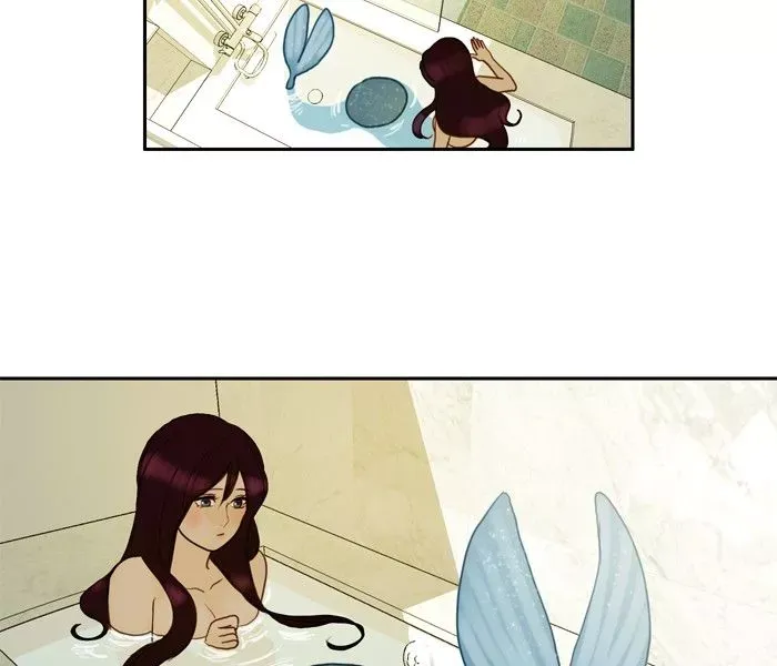 Siren