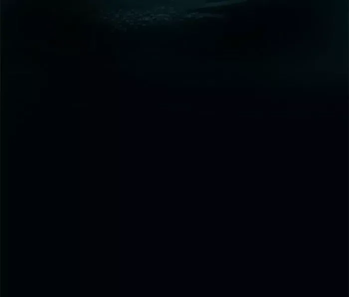 Siren