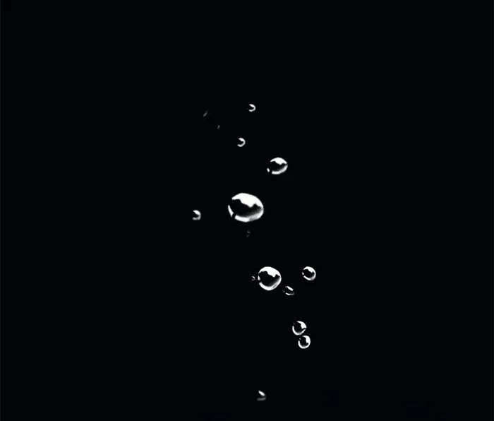 Siren