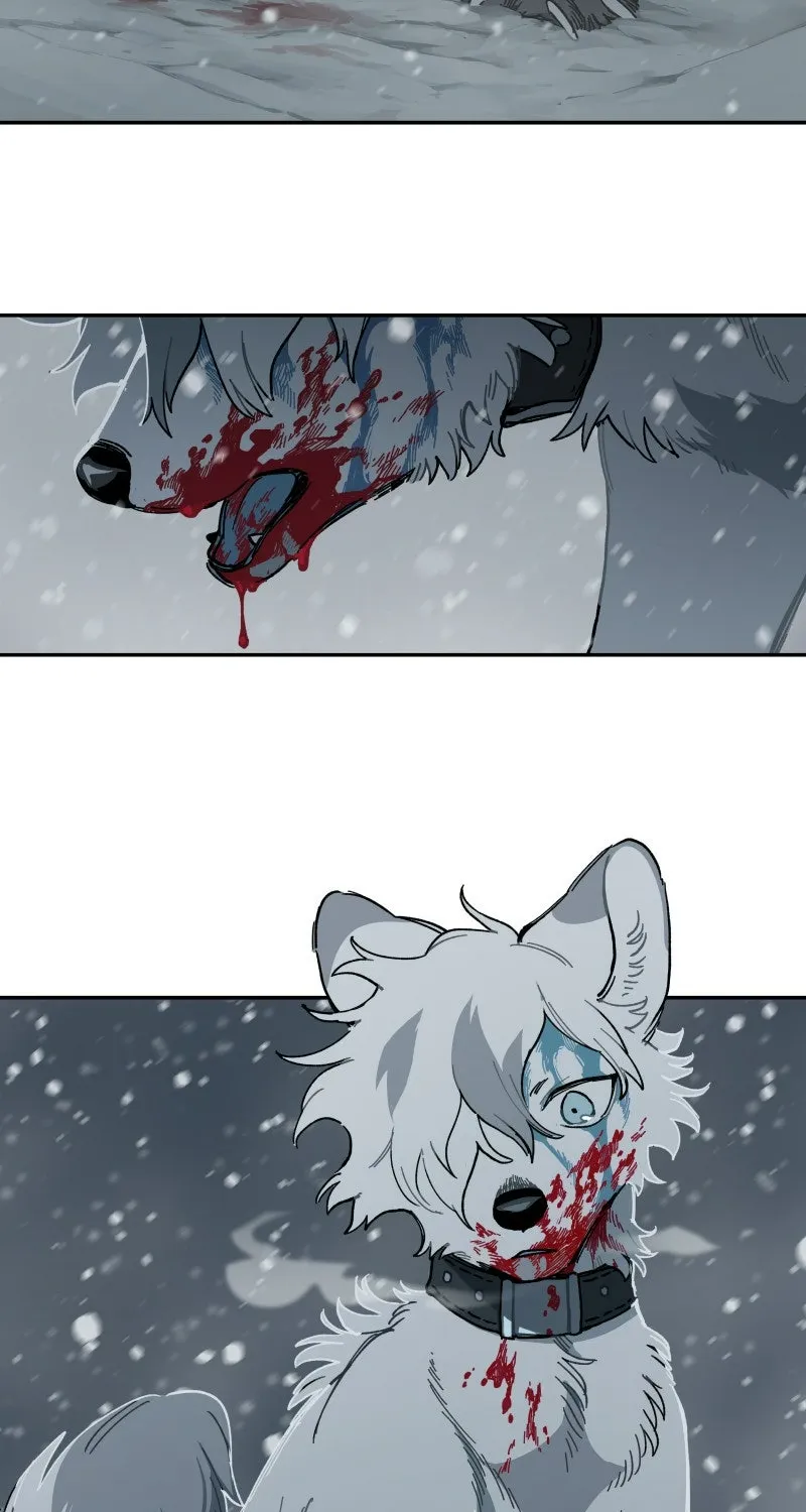 Sirius of Earth Chapter 1 page 20 - 