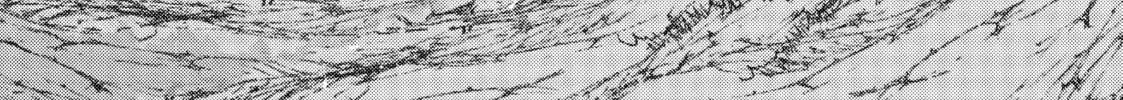 Skeleton Knight in Another World Chapter 51 page 74 - 