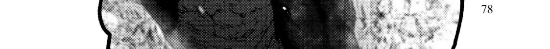 Skeleton Knight in Another World Chapter 54 page 28 - 