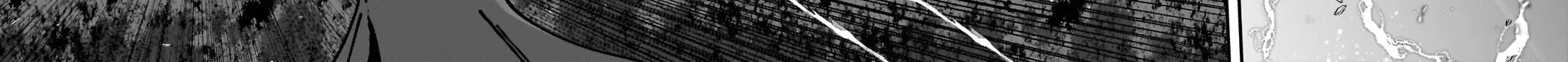 Skeleton Knight in Another World Chapter 68.2 page 17 - 