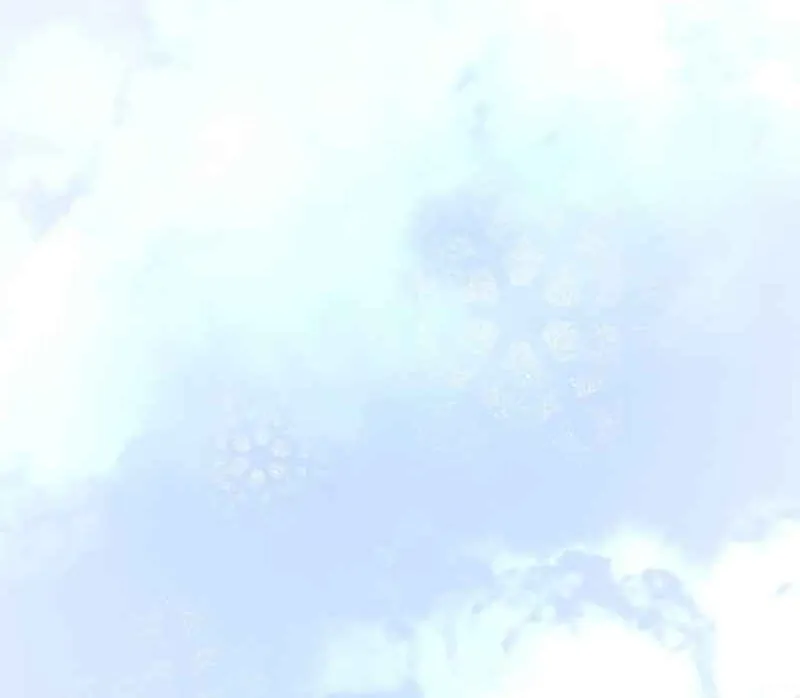 Skill Master Levels Up Chapter 111.6 page 13 - 