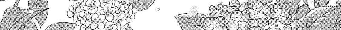 Skip to Loafer Chapter 11 page 2 - 