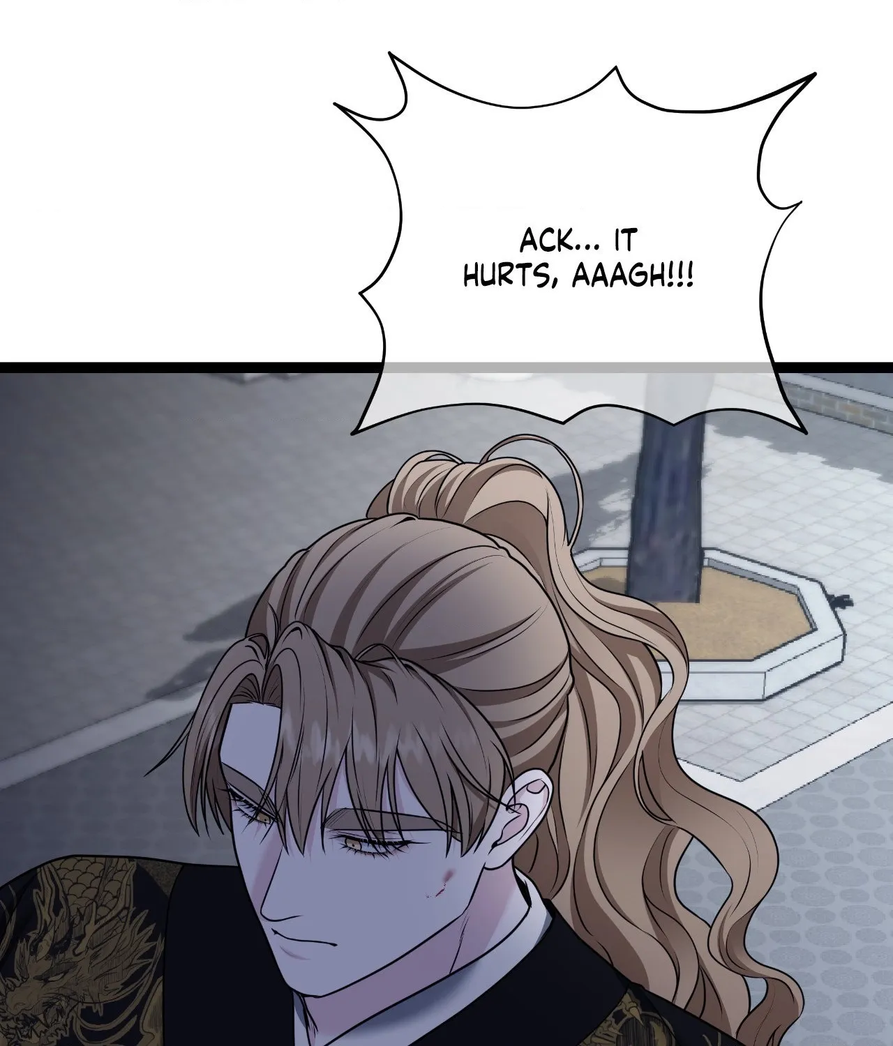 Sleeves Stained in Blood Chapter 47 page 101 - 